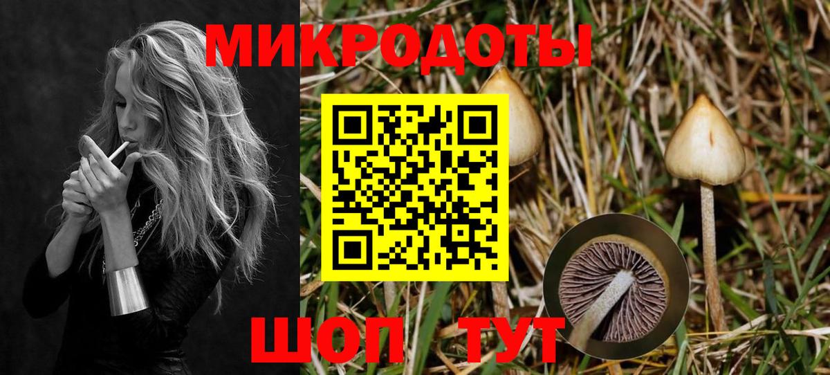 Галлюциногенные грибы GOLDEN TEACHER Новошахтинск