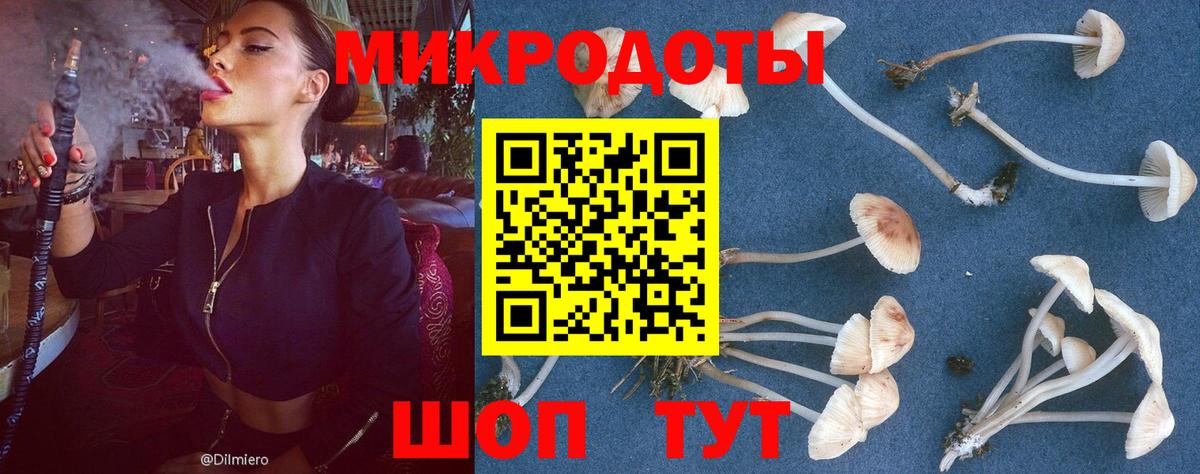 Галлюциногенные грибы Magic Shrooms  Вход с VPN  где найти наркотики  Новошахтинск  Галлюциногенные грибы Cubensis 